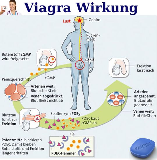 Viagra anwenden
